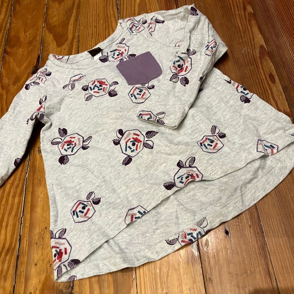 Tea Collection Outfit Shirt/Pants Size 4 EUC